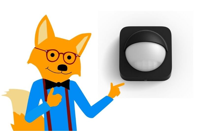 Man sieht den Philips Hue Outdoor Bewegungsmelder.